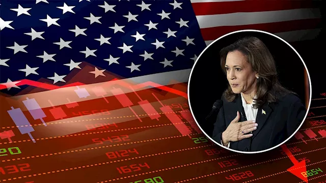 Market experts explain why US stock futures went down with Harris as debate 'victor'