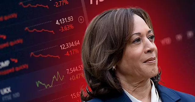 Stocks and Bonds Plunge as Investors Fear Harris Presidency and Tax Hikes