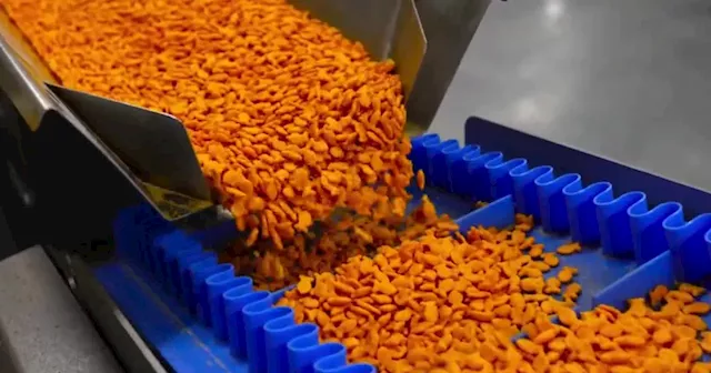 Gone fishin'; Goldfish business continues to boom in Utah