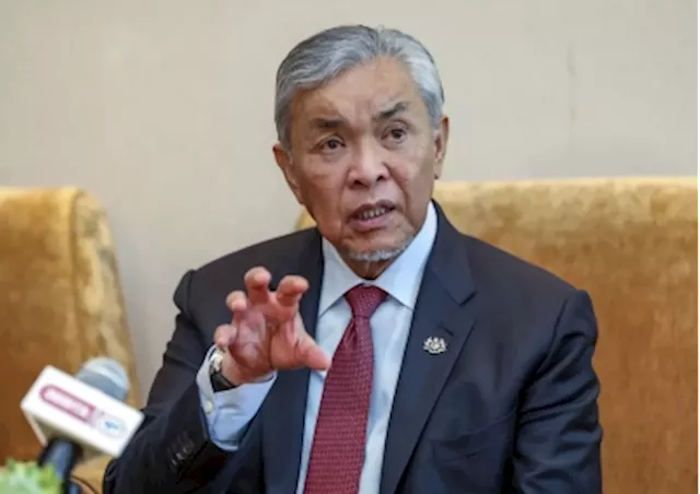 DPM says halal diplomacy in action as Malaysia secures RM4b investment from China industry players