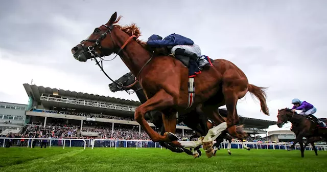 Economics successfully steps up to Group One company with thrilling Irish Champion Stakes defeat of Auguste Rodin