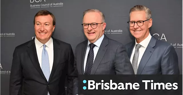 Albanese cops a roasting at big business’ night of nights