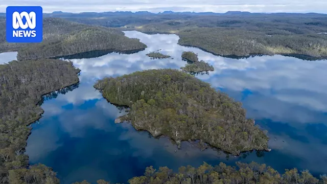 Company behind Lake Malbena helicopter tourism proposal in Tasmania placed into liquidation by Federal Court