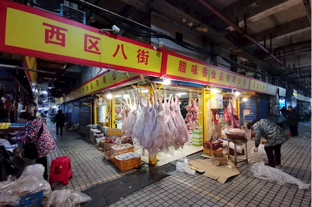 Evidence points to Wuhan market as source of covid-19 outbreak