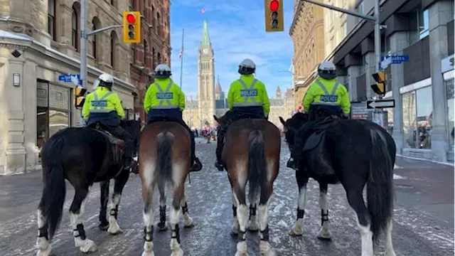 Police to patrol ByWard Market on horseback