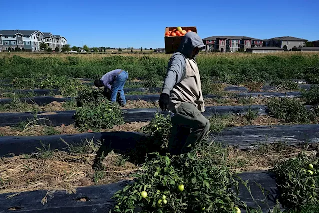 Palizzi Farm worries developer’s pipeline plans — allowed by eminent domain ruling — will hurt business