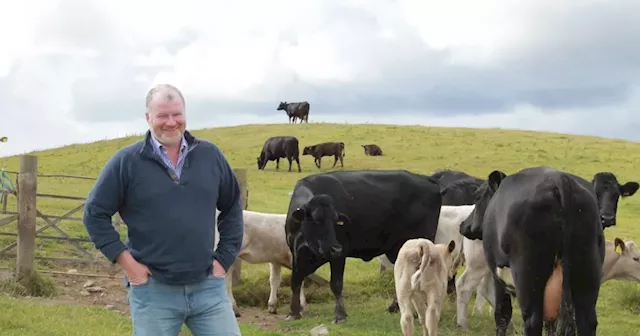 Lanarkshire livestock farmers have chance to benefit from free business support