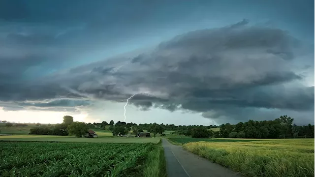 Recent rainfall in WC will protect farmers in dry season: Agri SA - SABC News - Breaking news, special reports, world, business, sport coverage of all South African current events. Africa's news leader.