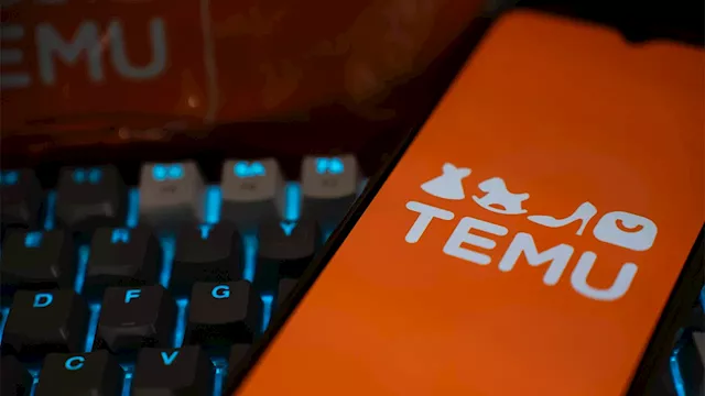 'Exploiting Americans' data': House Intel demands 'critical' briefing on CCP-linked company Temu