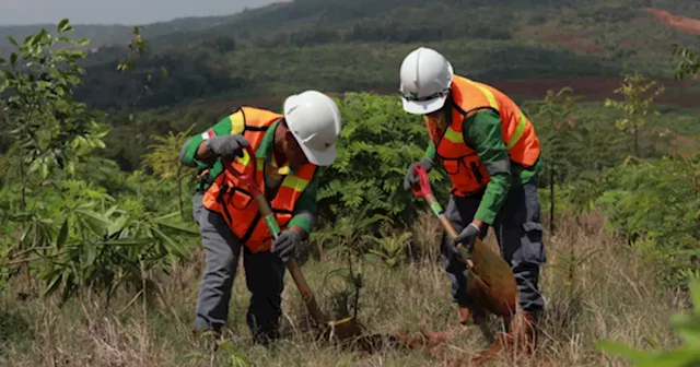 Miners' reclamation costs could overtake industry debt, Moody's warns