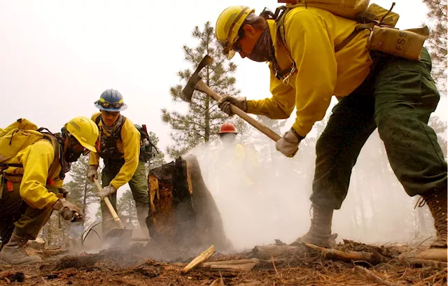 1,300 Homeowners to Lose Insurance After Company Assesses Wildfire Risk