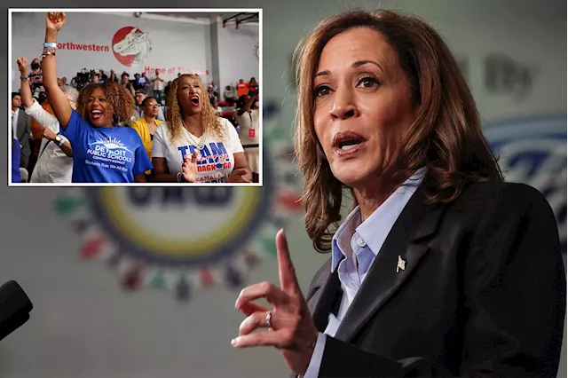 Kamala Harris' small business plan could cost taxpayers a hefty $20B over the next decade: experts