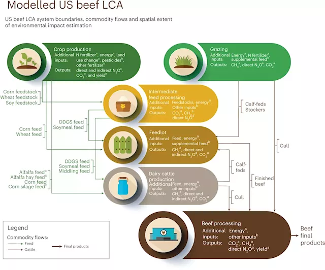 Beef industry can reduce emissions by up to 30%, says new research