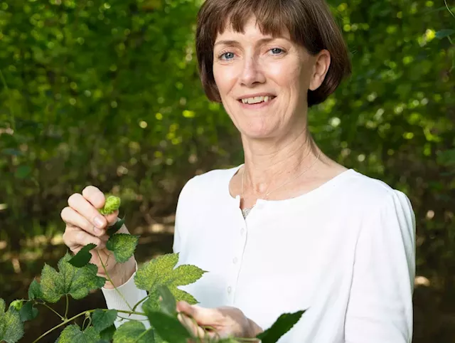 Chance for next generation farmers to tour apple and hop growing business