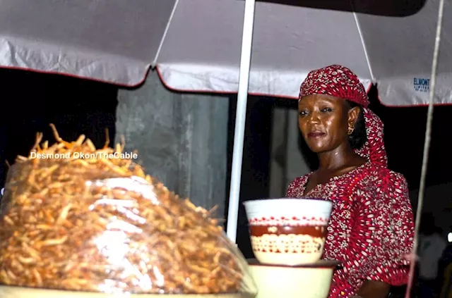 'Grasshoppers trade transformed my family' -- spotlighting women powering Borno's flourishing insect industry