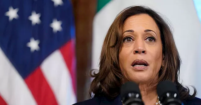 New Hampshire Business Owners Rip Kamala Harris Before Her Visit to Tout Kamalanomics