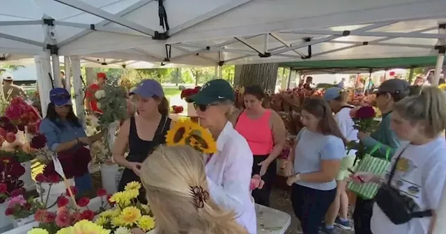 Green City Market in Chicago celebrates 25 years