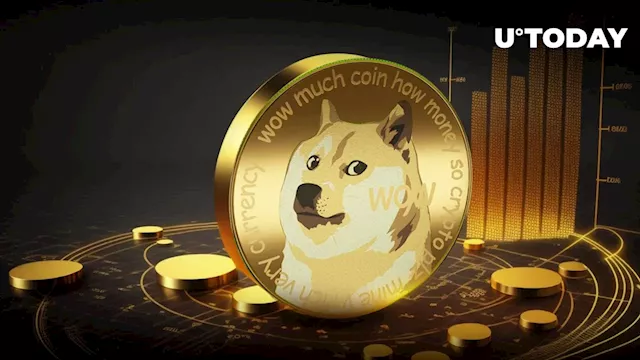 Dogecoin (DOGE) Cofounder Reacts to Market Sell-off: Details