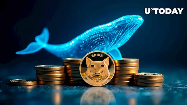 Shiba Inu (SHIB) Skyrockets 171% in Whale Move as $200 Million Market Sell-off Hits