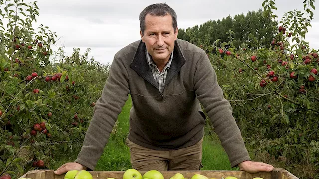 Fears over future of Britain's food: Fruit farmer says industry is in 'crisis' after wet summer...