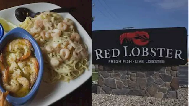 Red Lobster’s ‘ultimate’ endless shrimp deal backfires, costing company millions