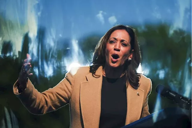 More than 90 company executives endorse Harris for US president