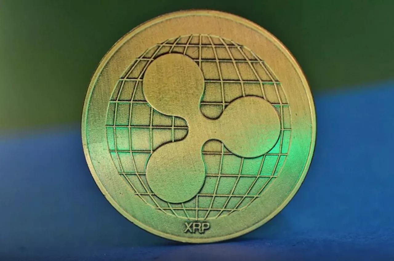 XRP Funding Rates Decline Amidst Market Correction, Traders Remain Cautious