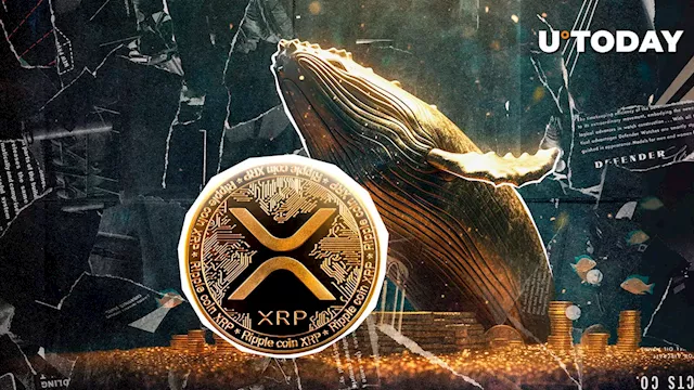 XRP Network Strengthens Despite Market Volatility