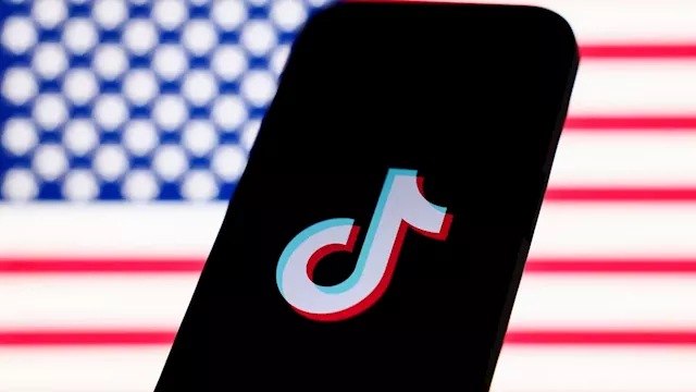 Chinese Government Considers Elon Musk Acquisition of TikTok's US Business