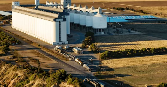 Canada Approves $8.2 Billion Viterra Acquisition by Bunge