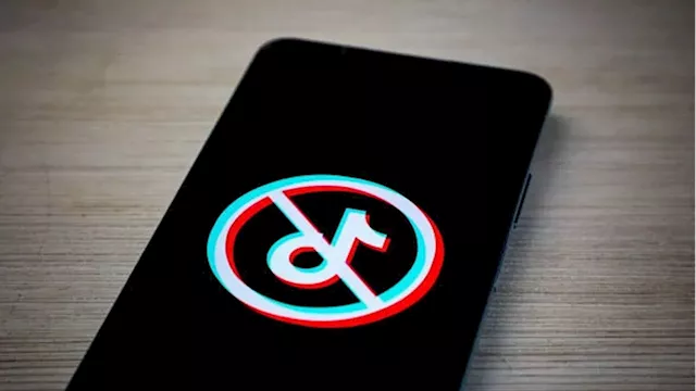 TikTok begins restoring service in US after Trump agrees to work with the company