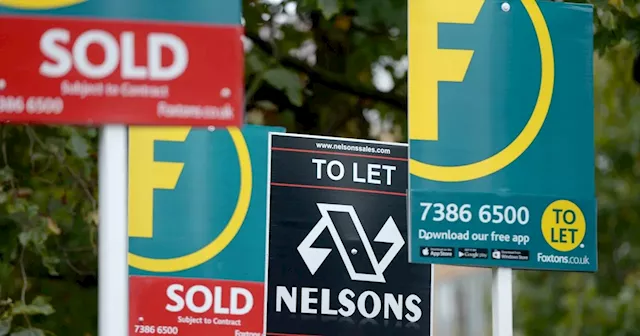 Property Expert Warns of 2025 Housing Market Fluctuations