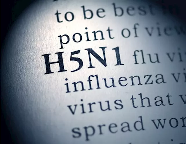 H5N1 Avian Influenza: Balancing Vigilance and Business as Usual