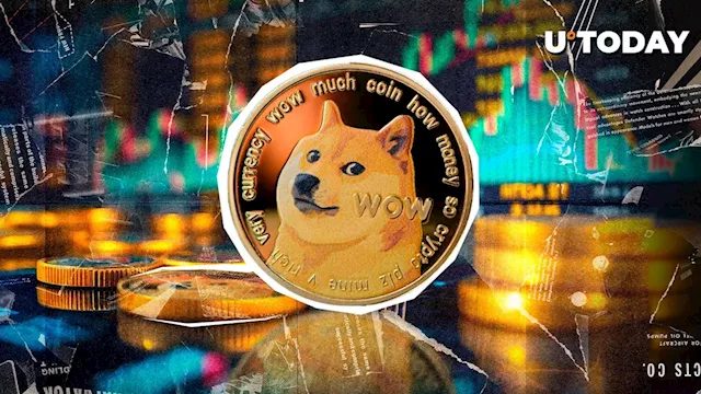 Dogecoin Liquidations Show Market Imbalance as Bulls Surge