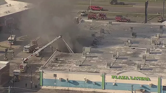 Hundreds of Animals Killed in Dallas Business Fire