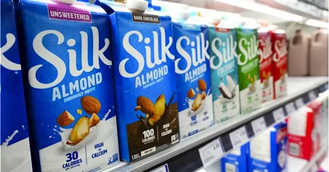 Plant-Based Milk Company Files for Creditor Protection After Listeria Outbreak