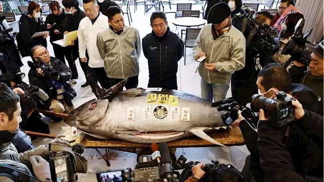 Million-Dollar Bluefin Tuna Sold at Tokyo Fish Market