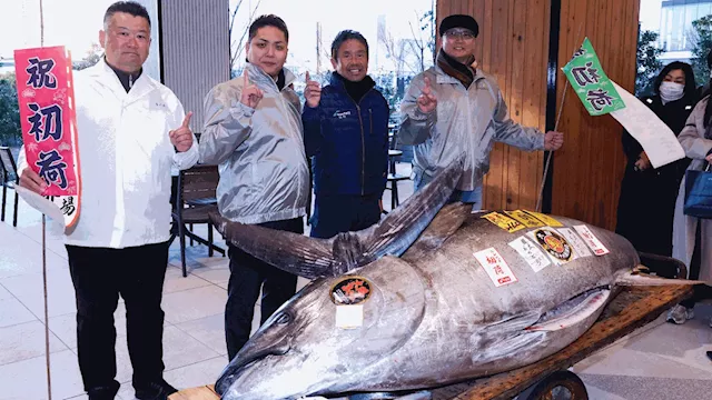 Japanese Company Buys Record-Setting Tuna for $1.3 Million