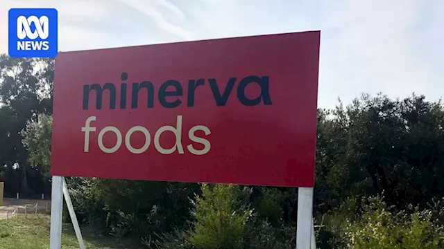 Minerva Foods Closes WA Sheep Abattoir Amidst Industry Challenges