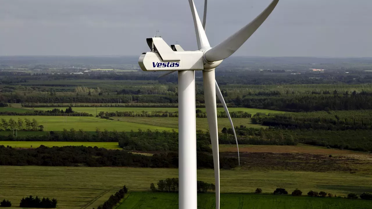 European wind stocks tumble after Trump says he will stop new turbine construction