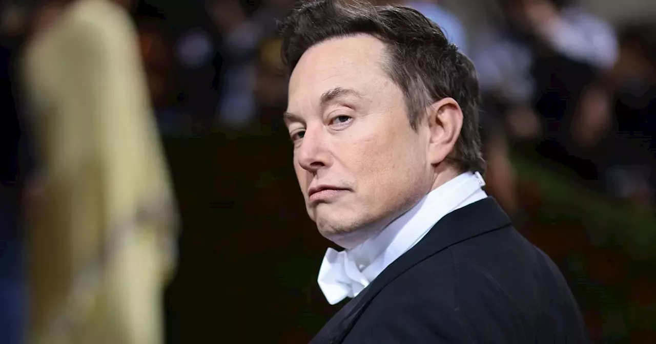 Elon Musk Compared to Sir Jim Ratcliffe by Football Finance Expert