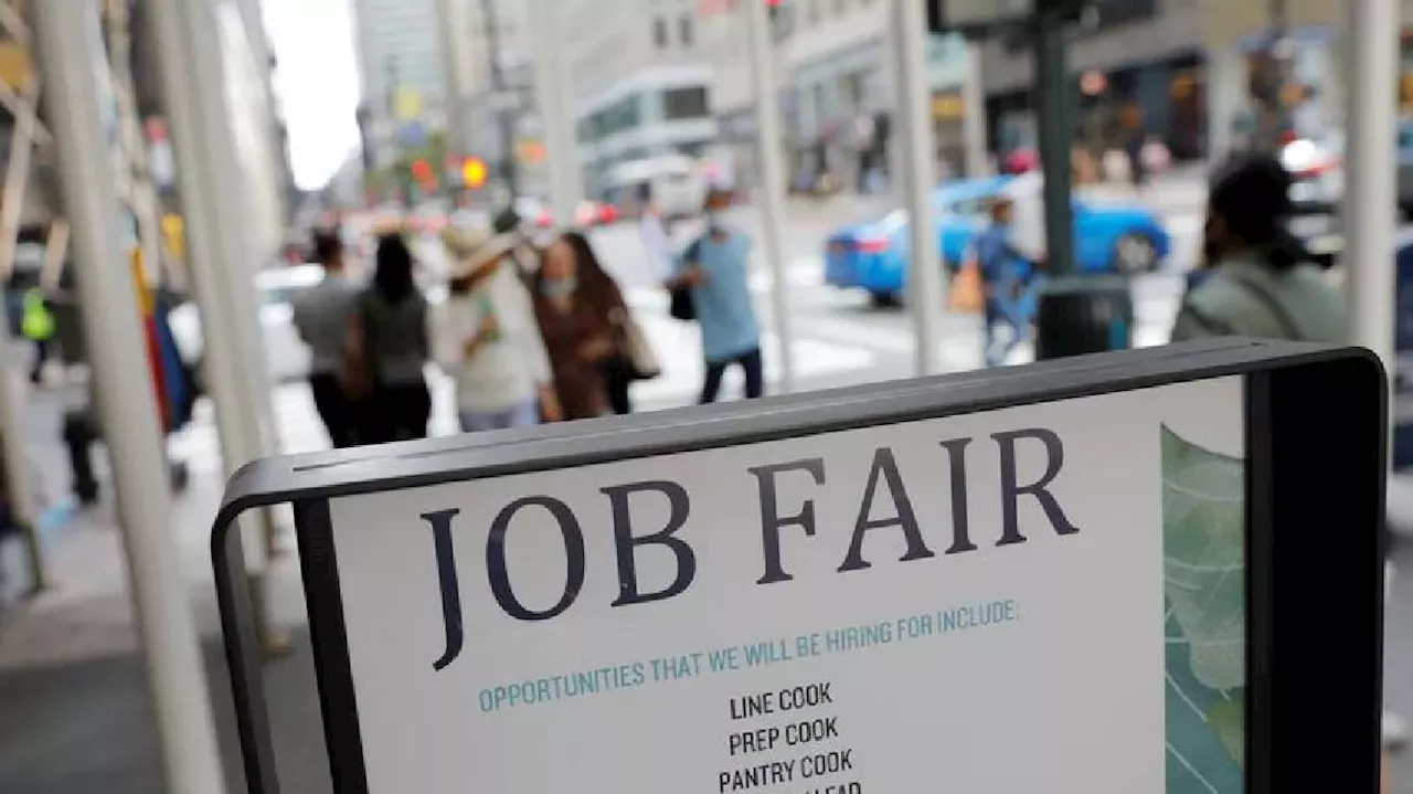 US Jobless Claims Fall to 11-Month Low, Signaling Stable Labor Market