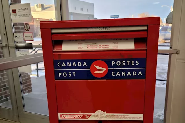 B.C. Energy Drink Company Owner Accused of Defrauding Canada Post