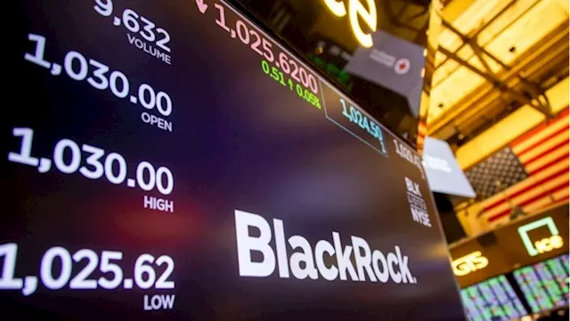 BlackRock private equity fund takes more than $600mn hit on investment